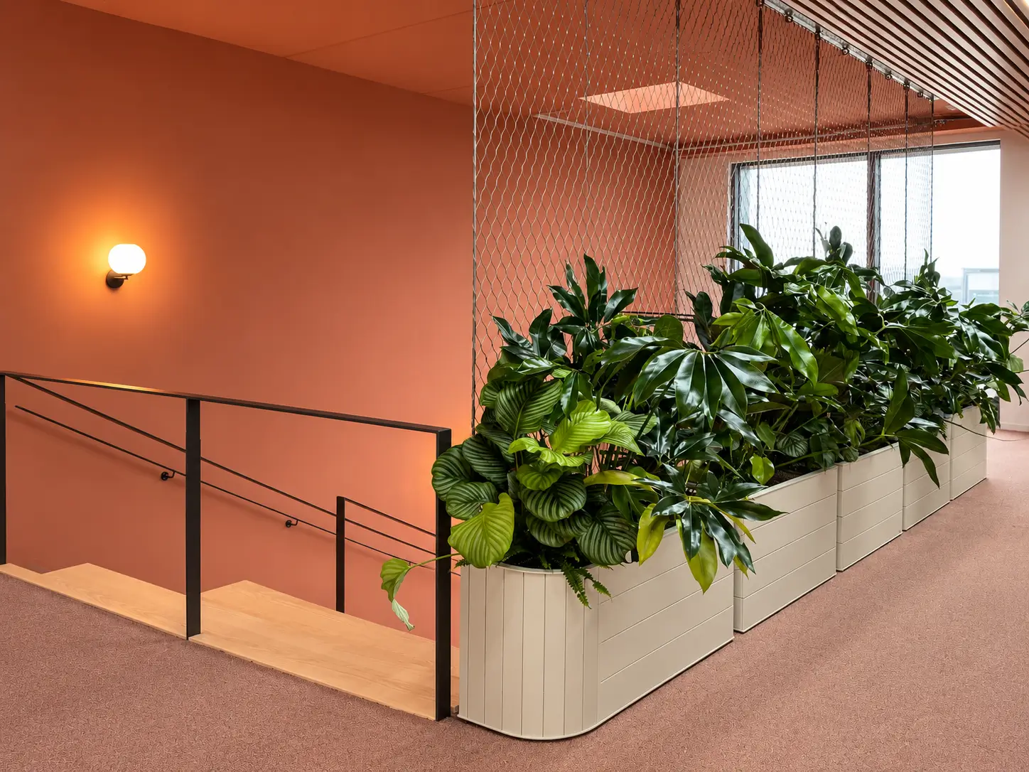 Peinture des couloirs et de la cage d’escalier – Finition bicolore à Toulouse Montaudran